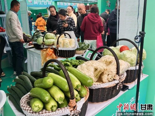 暮秋蘭州甘味濃，張掖有機(jī)農(nóng)產(chǎn)品展銷會圈粉金城苗木