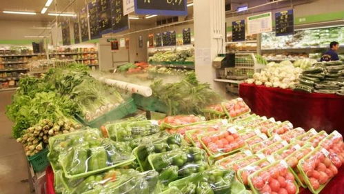 金秋時節 菜價波動中的市場預期與產業觀察