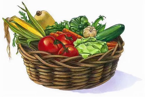 節(jié)前走訪菜市場 貨源充足價格穩(wěn)，新春苗木添綠意