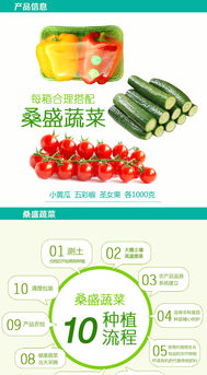 桑盛蔬菜特惠套餐 壽光特產，綠色健康的家庭餐桌新選擇